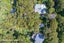 75 Victoria Road South, Onetangi, Waiheke Island - Carousel 6