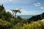 62 Old Porirua Road, Ngaio, Wellington - Carousel 3
