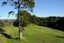 212 Wonderview Lane, Hakaru, Kaiwaka - Carousel 3