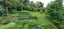199 Woodlands Park Road, Titirangi, Auckland - Carousel 14
