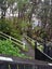 93 Rakau Road, Hataitai, Wellington, Wellington - Carousel 5