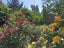 48 Longstaffs Road, Christchurch - Carousel 33