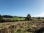 101 Main Street, Otautau, Southland, Southland - Carousel 22