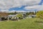 498 North Eyre Road, Swannanoa, Rangiora - Carousel 21