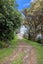 419F Manawaora Road, Parekura Bay, Hikurangi - Carousel 21
