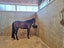 475 Ellesmere Road, Christchurch - Carousel 32