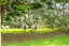 266 Murphys Road, Judgeford - Carousel 37