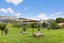 2A Diamond Street, Eden Terrace, Auckland - Carousel 16