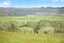 334 Oneriri Road, Kaiwaka, Kaiwaka - Carousel 2