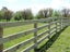 310C Porangahau Road, Waipukurau, Waipukurau - Carousel 7