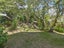 180A Darlington Road, Miramar, Wellington - Carousel 6