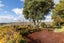 Lot 1/263 Hill Road, Bay View, Napier, Hawke's Bay - Carousel 6