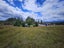 1252 Arnold Valley Road, Dobson - Carousel 16