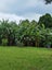 1 Kereru Street, Henderson, Auckland - Carousel 3