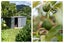 38 Tanners Point Road, Tanners Point, Tahawai - Carousel 45