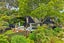 29 Telephone Road, Birkenhead, Auckland - Carousel 21