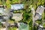 151E Colwill Road, Massey, Auckland - Carousel 14