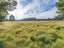 366 Newtons Road, Christchurch - Carousel 4