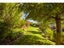 36 Elisha Drive, Witherlea, Blenheim - Carousel 23