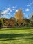 853B Dairy Flat Highway, Albany - Carousel 15