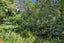 3/99 Vauxhall Road, Devonport, Auckland - Carousel 20