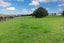 403 Hall Road, Rangiriri, Te Kauwhata - Carousel 22
