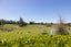 695F Chester Road, West Taratahi, Carterton - Carousel 21