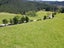 0 Reid Rd, Herbert - Carousel 35