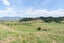 187 Whittaker Road, Karamu, Hamilton - Carousel 22