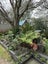 54A Fancourt Street, Meadowbank, Auckland - Carousel 5