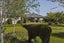 7 Showground Place, Leeston, Leeston - Carousel 3
