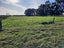 161 Richard Pearse Drive, Temuka, Temuka - Carousel 6
