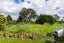 243 Pataua Road, PATAUA SOUTH, ONERAHI - Carousel 14