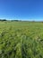 89 Robertson Road, Whatawhata - Carousel 3