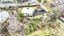 3 Goodwin Street, Waihola - Carousel 7