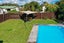 62 Aurora Terrace, Hillcrest, Hamilton - Carousel 3