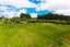 283 Kaipo Flats Road, Tuakau - Carousel 9
