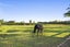 250 Mandeville Road, Ohoka, Kaiapoi - Carousel 28