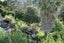 24B Walsh Road, Westown, New Plymouth - Carousel 26
