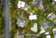 350 Glenfield Road, Glenfield, Auckland - Carousel 5