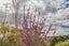 99 Ireland Road, Otane - Carousel 26