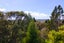213 Godley Road, Titirangi, Auckland - Carousel 7