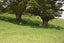 69 Matakohe Wharf Road, Matakohe, Matakohe - Carousel 40