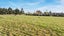 476 Falvey Road, Levels, Timaru - Carousel 19