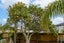 12 Taipari Road, Te Atatu Peninsula, Auckland - Carousel 14