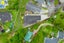 29F Bell Road, Beachlands, Auckland - Carousel 35