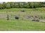 621 PUKETONA RD, Haruru, PAIHIA - Carousel 24