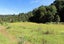 2265 State Highway 7, MAIMAI, REEFTON - Carousel 15