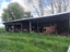0 McDonell Road, Ohakea, Bulls - Carousel 16