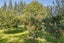 238 Beach Road East, Elgin, Ashburton - Carousel 22